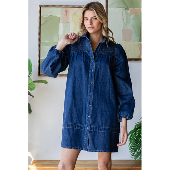 LS Denim Shirt Dress