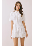 Eyelet Collared Front Button Dress