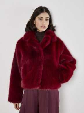 Fur Collar Short Coat