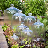 Apothecary Bell Jars - Greige Goods